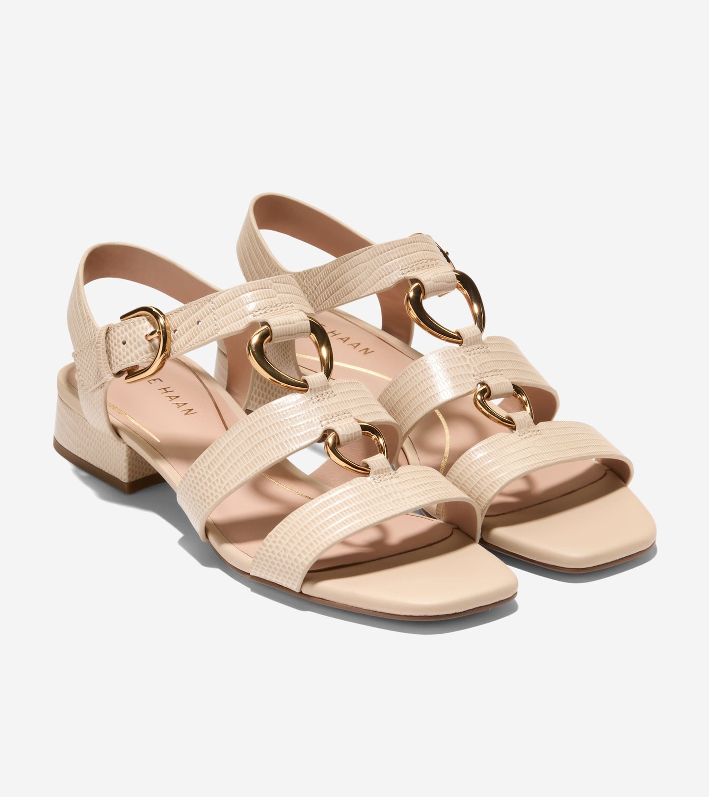 W32908:OAT LIZARD PRT LTR