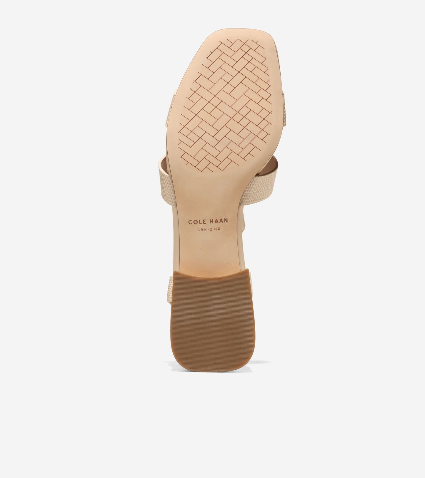 W32908:OAT LIZARD PRT LTR