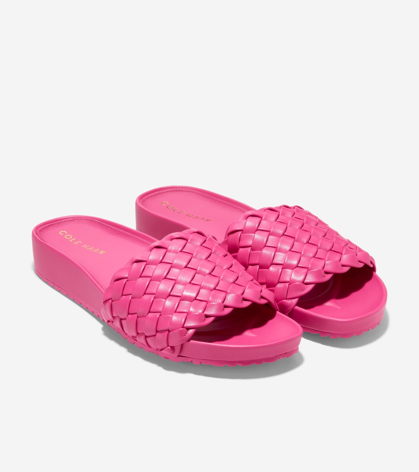 W27121:PINK YARROW LTR