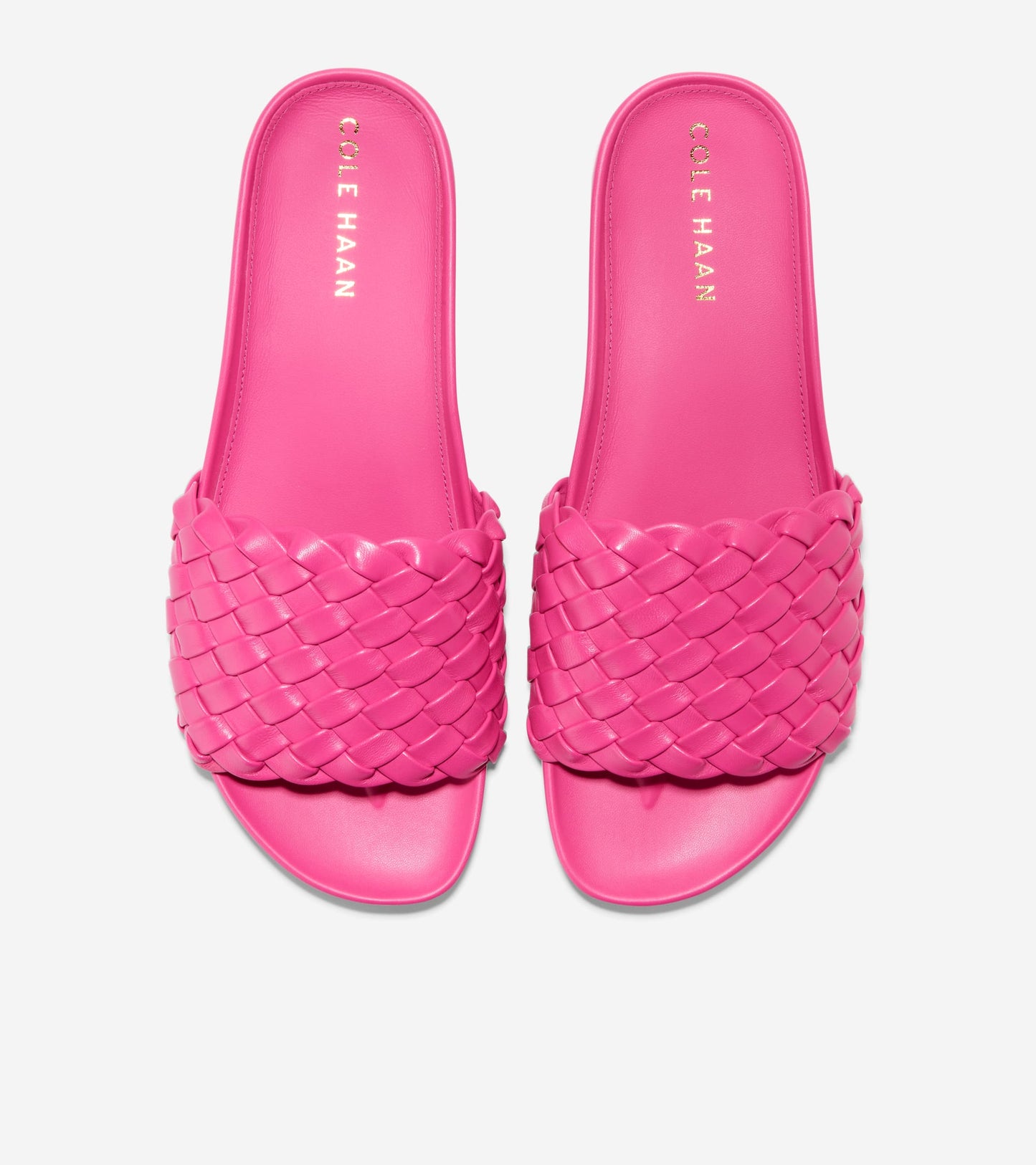 W27121:PINK YARROW LTR