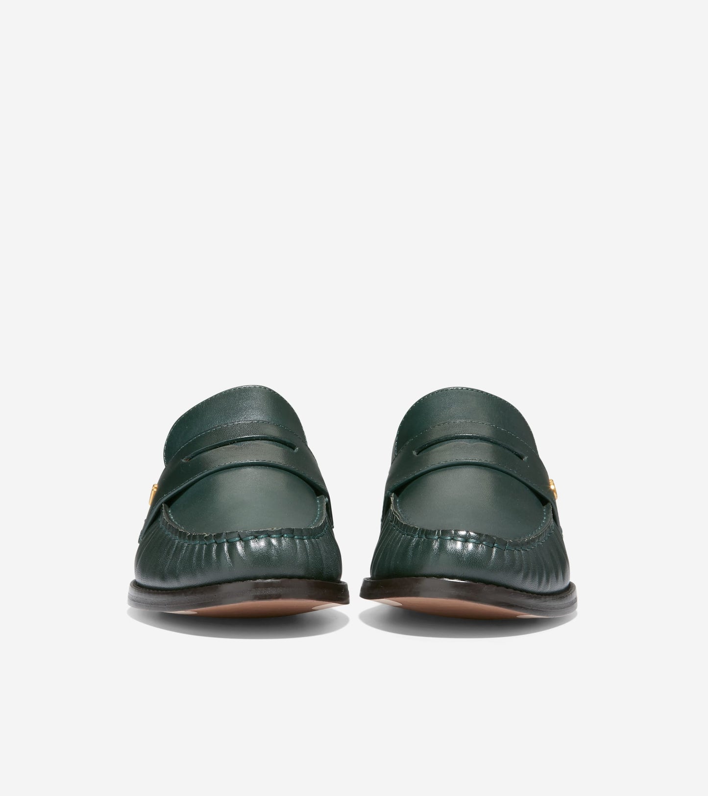 W28905:SCARAB LTR