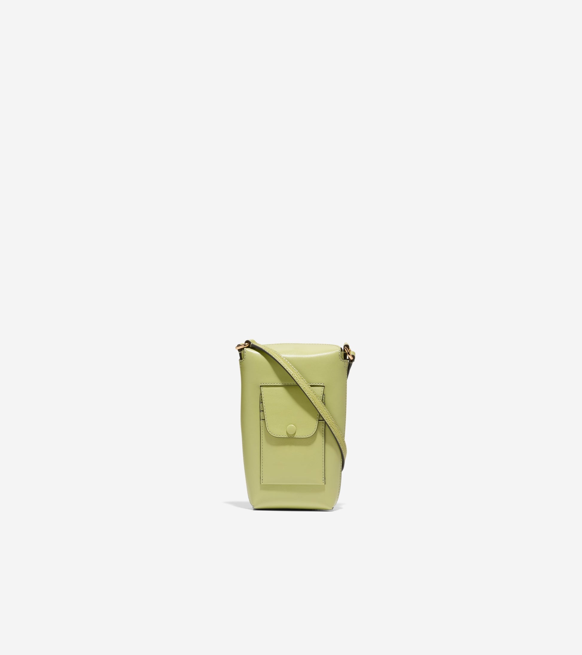 U07687:SWEETP PEA/LIZARD:0000