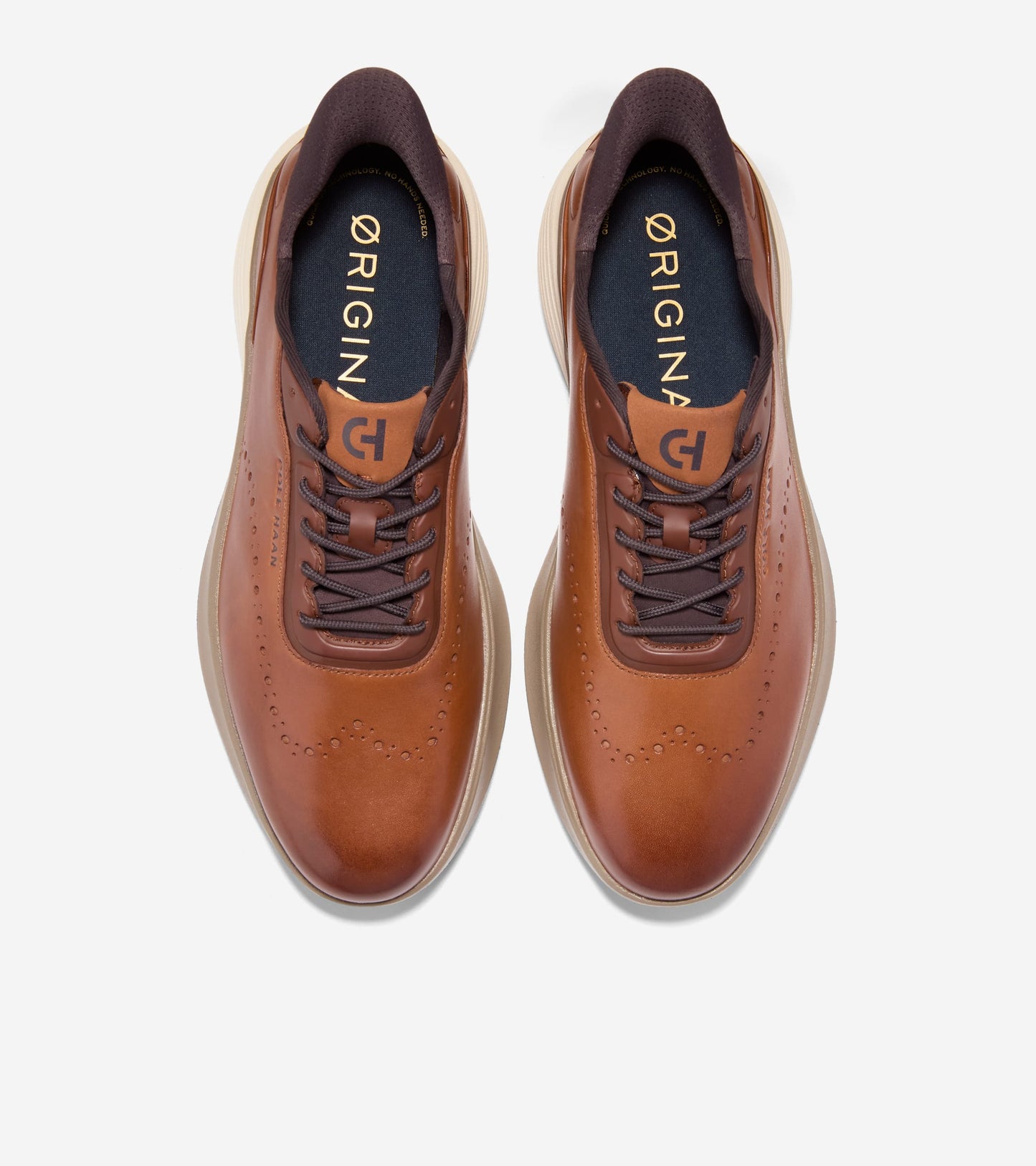 C44230:CH BRITISH TAN / CH IRISH COFFEE / IVORY