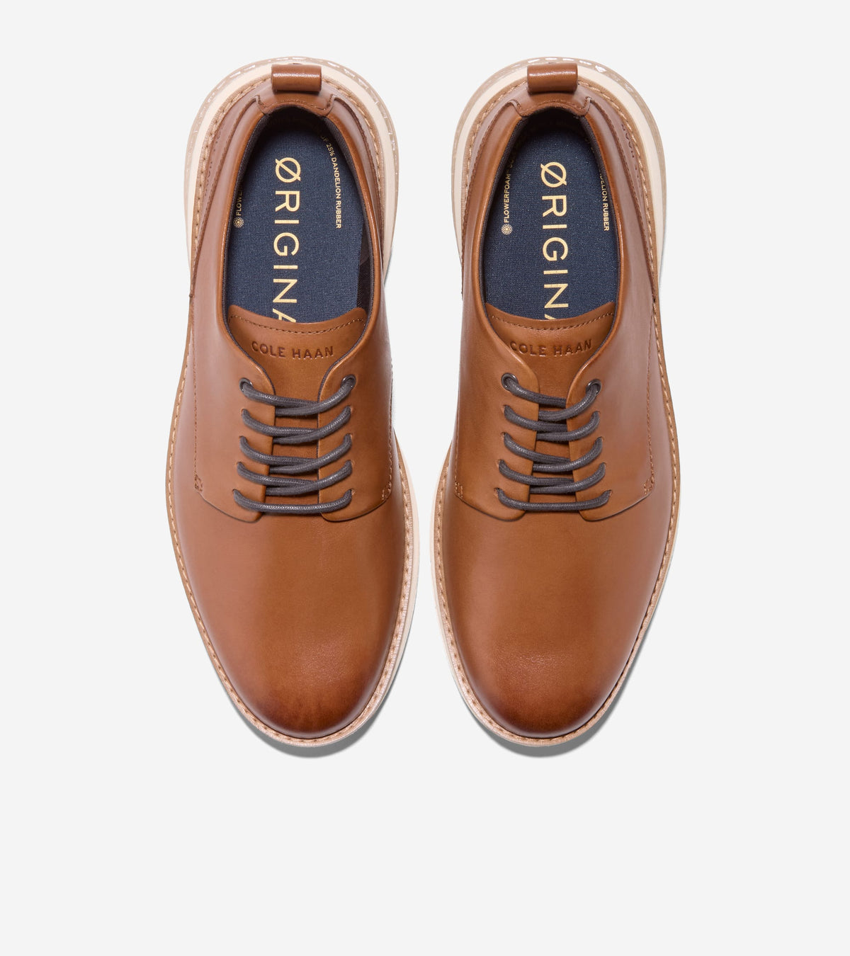 C42136:BRITISH TAN / IVORY