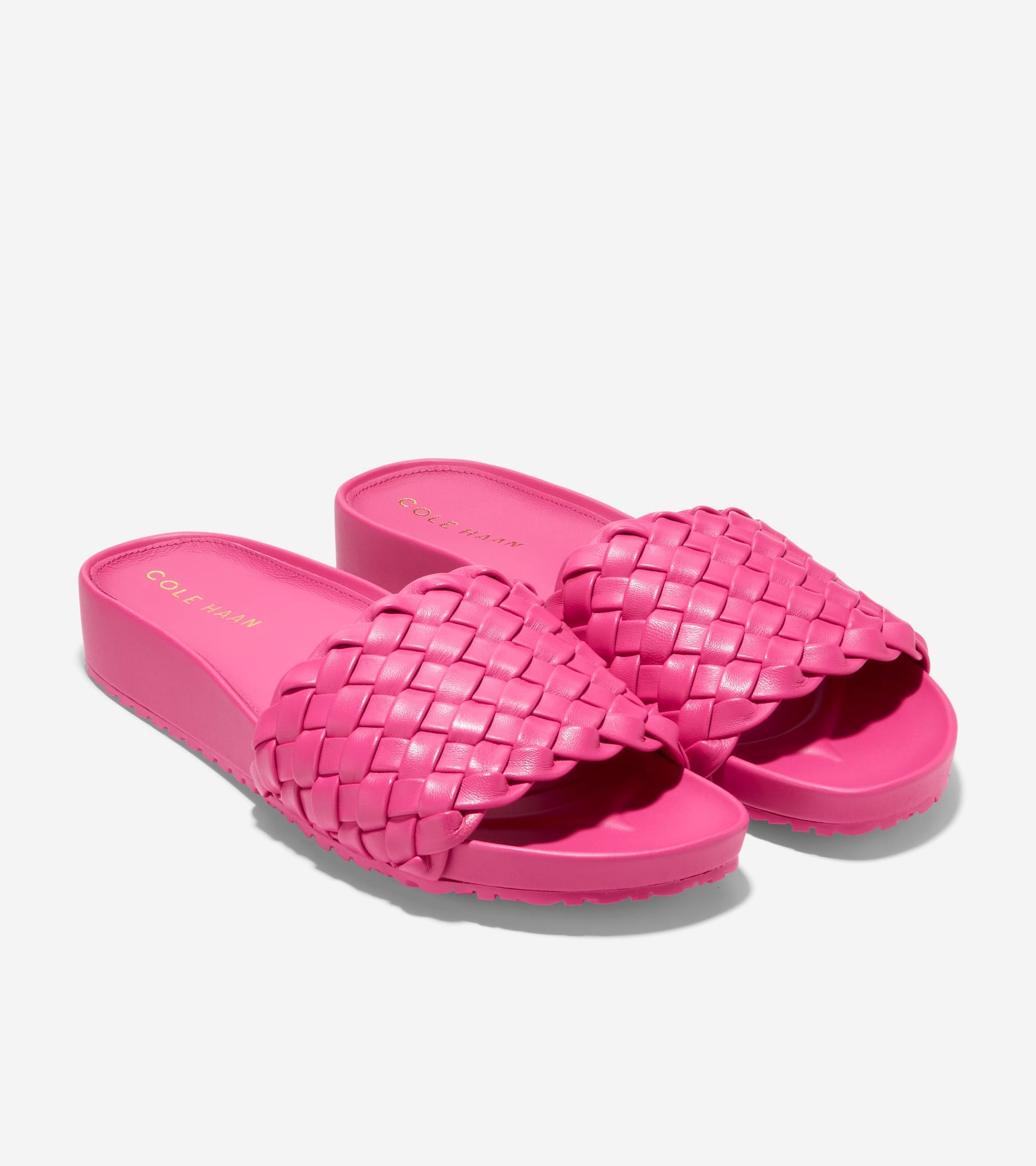 W27121:PINK YARROW LTR